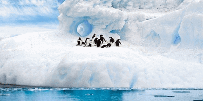 Pingvini-na-ledenjaku.png